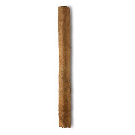 Lepanto Cigarillo Sumatra