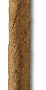 Lepanto Slanke Panatela Sumatra Nr. 766-15er