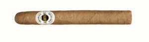 Ashton Classic Esquire - 10er