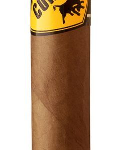 Corrida Dominican Republic Toro+