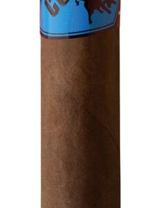 Corrida Nicaragua Toro +