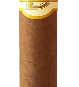 Dominico Robusto