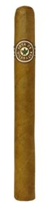 Joya de Nicaragua Churchill - 25er
