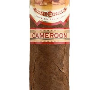 La Aurora 1903 Cameroon Robusto - 20er