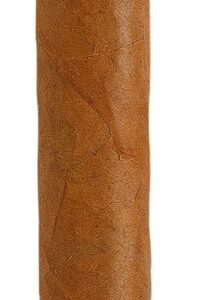 Rafael Gonzalez Petit Corona