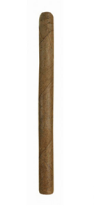 Don Stefano Senorita Sumatra
