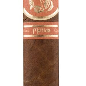 Matilde Quadrata Robusto