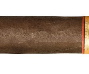Arturo Fuente Don Carlos Doble Robusto