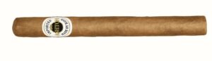 Ashton Classic Churchill