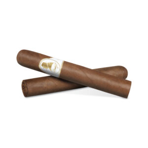 Davidoff Winston Churchill Robusto